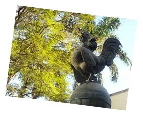 Estátua do Galo símbolo do Município de Cantagalo RJ