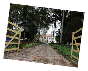 Fazenda centenária no Município de Cantagalo RJ
