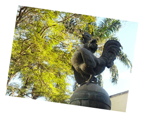Estátua do Galo símbolo do Município de Cantagalo RJ